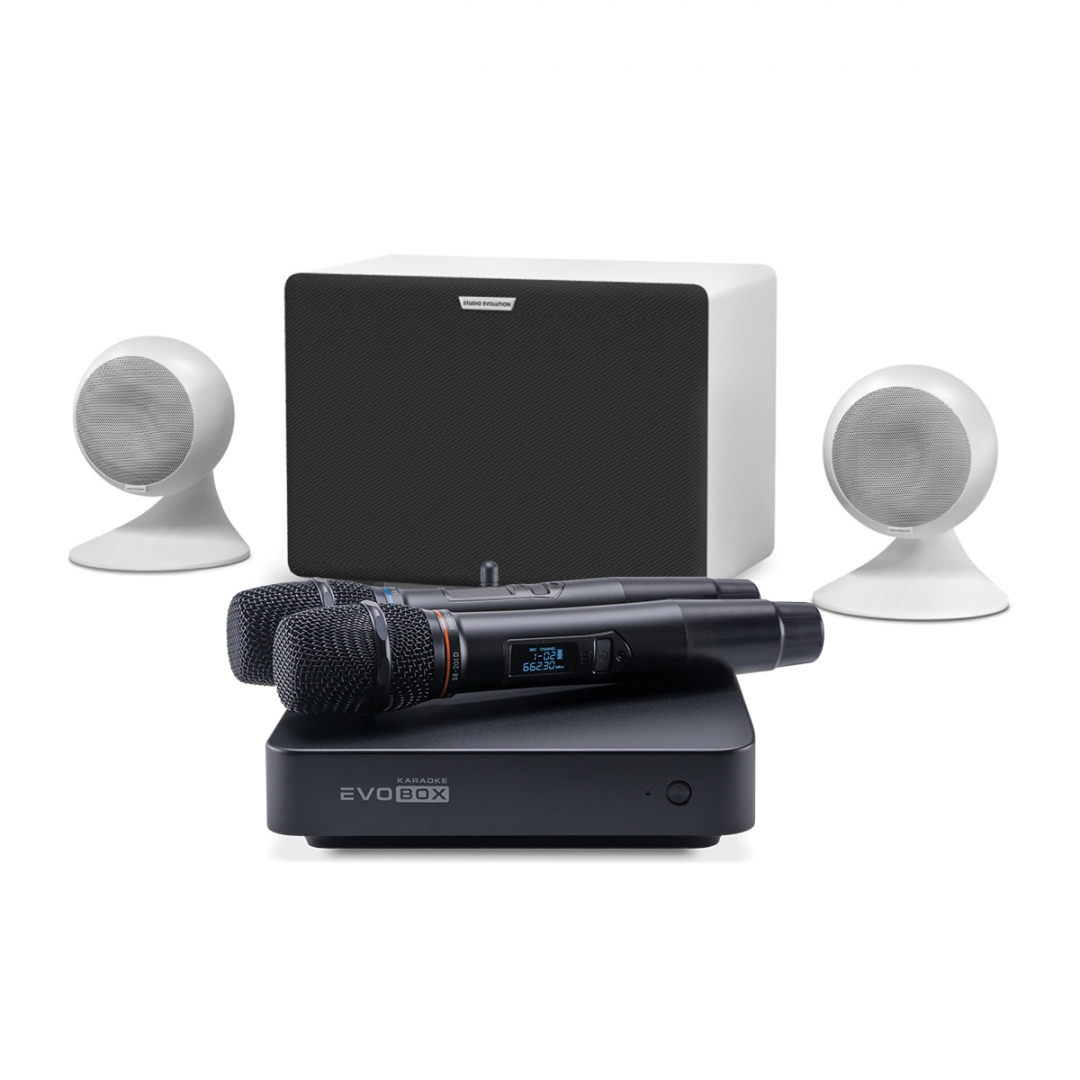 караоке-комплект EVOBOX Classic + EvoSound Sphere 2.1 в Балашихе