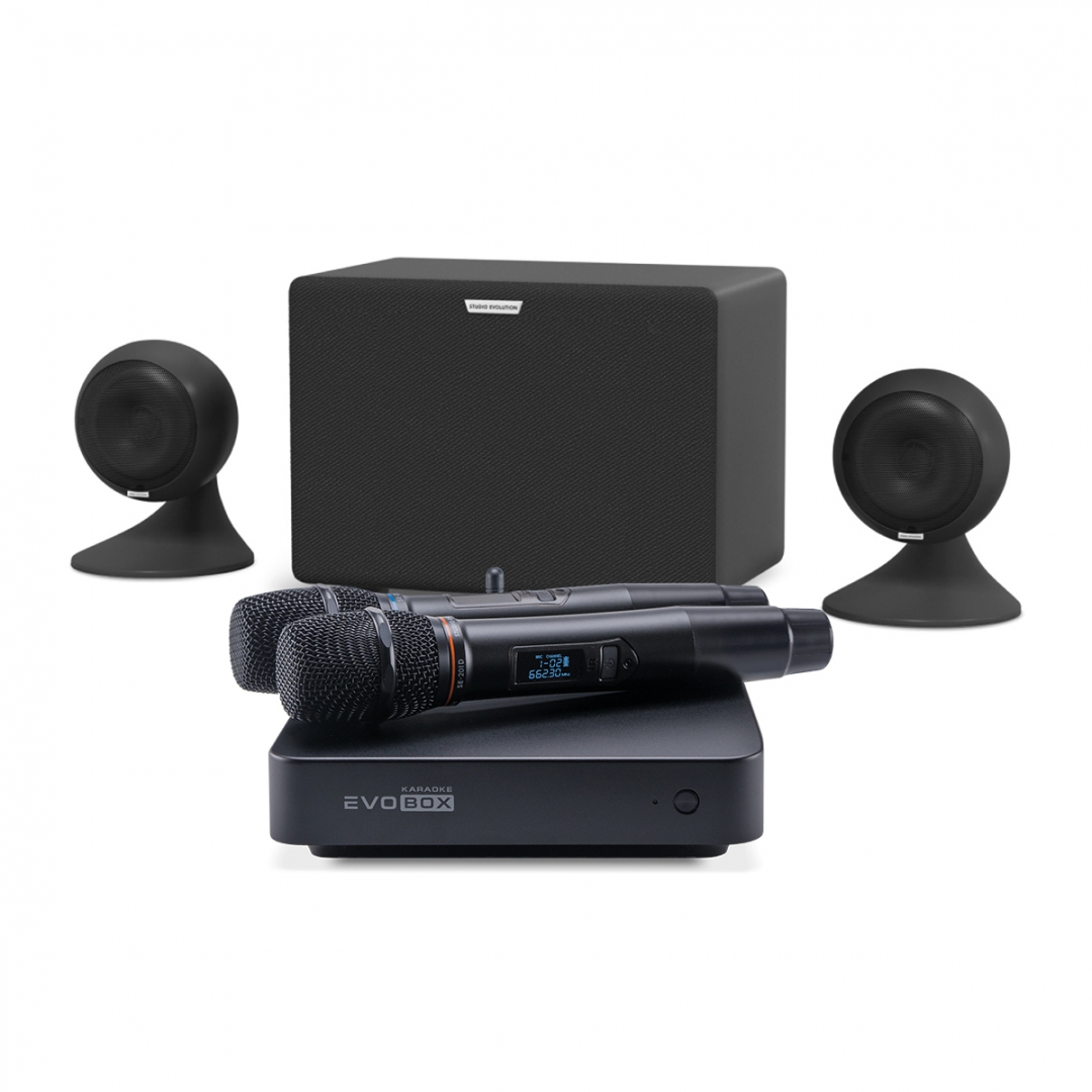 караоке-комплект EVOBOX Plus + EvoSound Sphere 2.1 в Балашихе