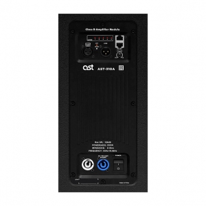 Активная акустическая система AST-310A в Балашихе