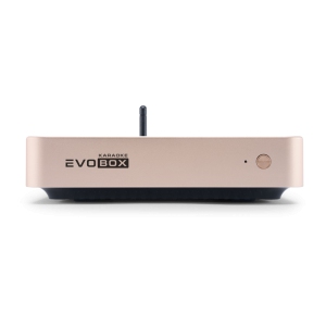 EVOBOX Classic караоке-система для дома в Балашихе
