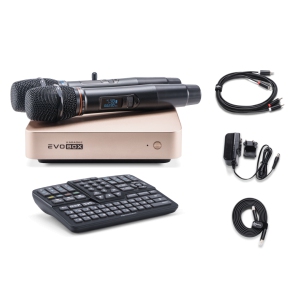 EVOBOX Classic караоке-система для дома в Балашихе